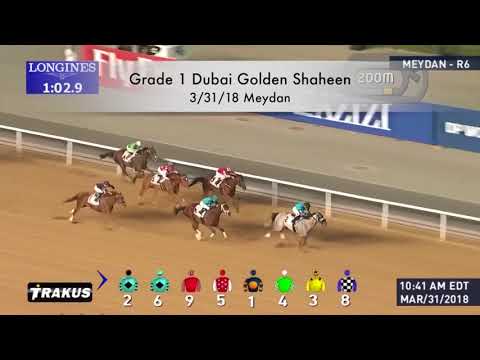 2018 Runhappy Met Mile Contender - Mind Your Biscuits