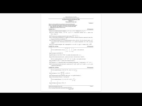 Rezolvarea subiectului de Bacalaureat 2025 - Mate-Info