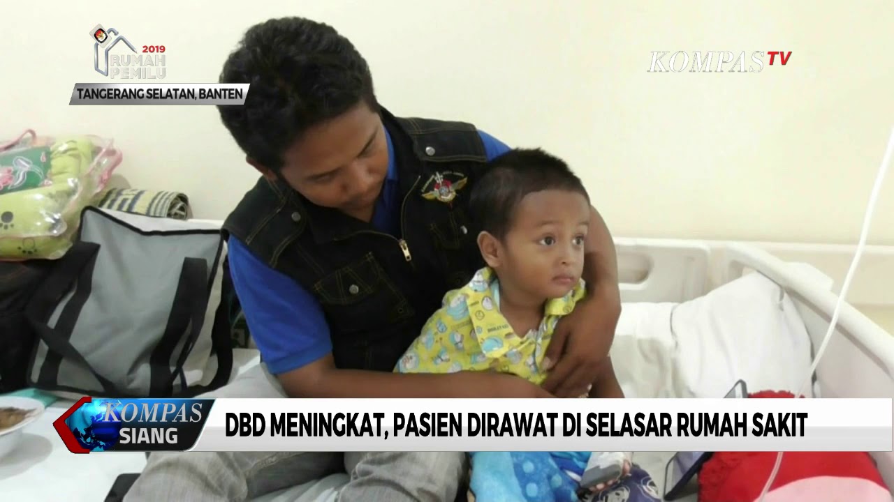 DBD Meningkat, Pasien Dirawat di Selasar Rumah Sakit