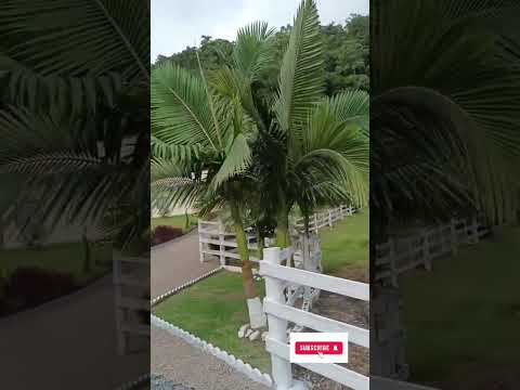 Curtindo a Natureza! Alto Cutias, Lontras -SC