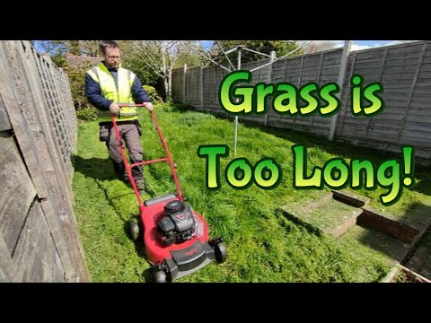 KGF Garden Maintenance video.