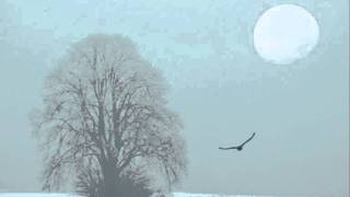 Nostalgia - Bleak Eternal Winter
