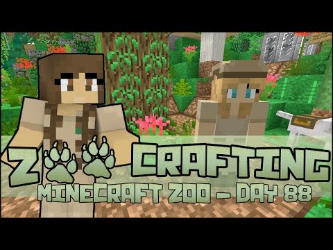 Keeper of the Hummingbirds! 🐘 Zoo Crafting: Season 2 - Episode #88