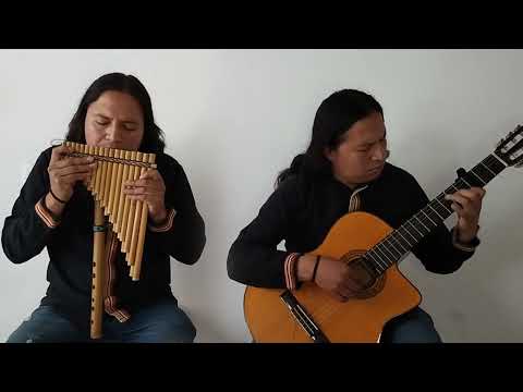 Camino de llamas guitarra y quena - Uña Ramos (Cover)