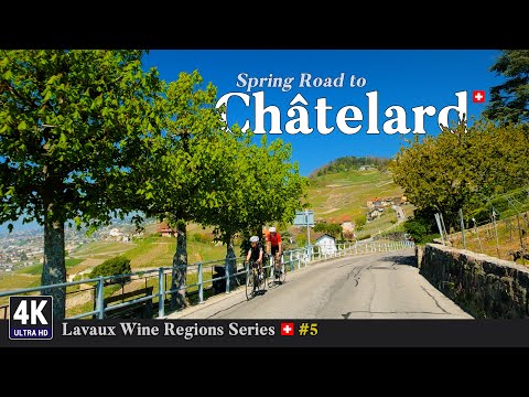 Lavaux Vineyards Switzerland 🇨🇭 Ep#5 - Epic Spring Road Trip from Corseaux to Châtelard Lutry, Vaud