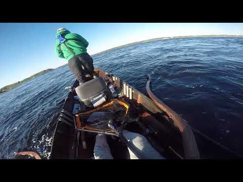 Tornionjoki lohi2 2021, Matkakoski