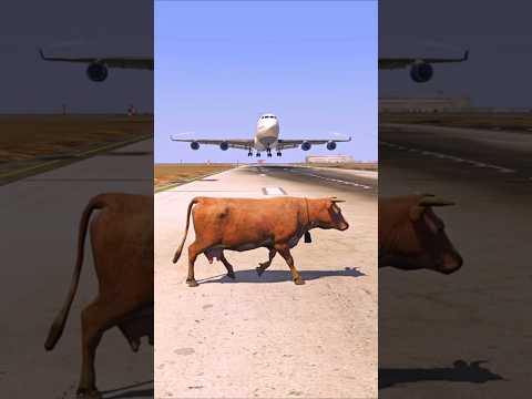 A Cow Gets Caught as an Aircraft Descends | Grand Theft Auto V ||
