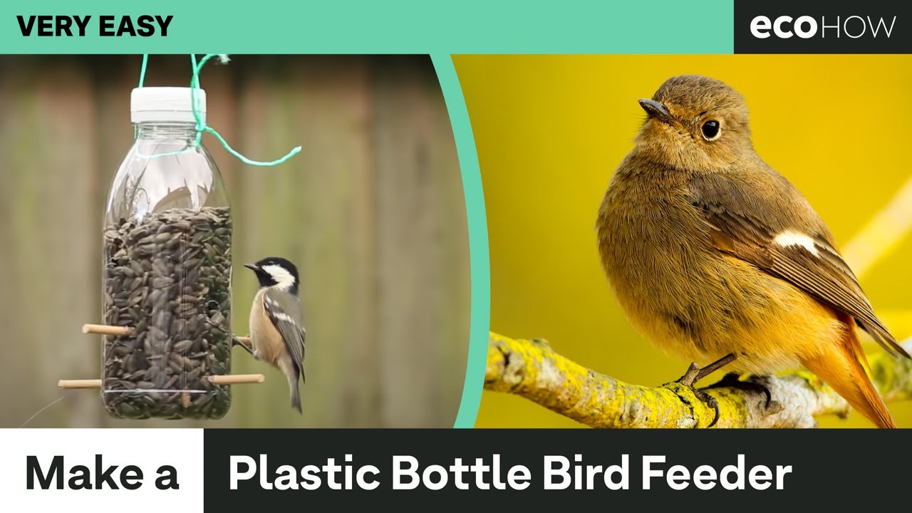 How to make a Bird Feeder from a Plastic Bottle - YouTube