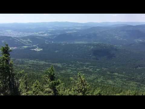 Bayerwald-Ausblick vom Großen Falkenstein - Nationalpark Bayerischer Wald