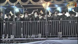 שמחת בית דז'יקוב ויז'ניץ- קארלין- אדר תשפ''ג- חלק ב