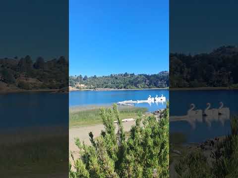 Villa Pehuenia, Neuquén