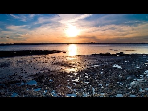 Sensual Pleasure - Port Of Senses (Samuelzone Remix) [short version]