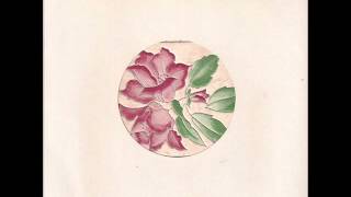 Delphium - Stringsong