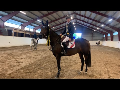 Vinnerintervju unghest - Harry Allen