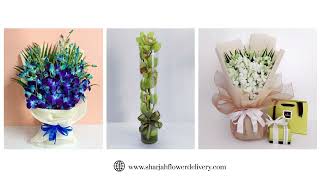 Orchids Delivery in Sharjah from a Reliable Florist Shop