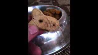 Tally Girl Getting Her Grub On