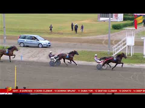 IV Corsa del 31 maggio 2023 - 4 Anni - Metri 2000/2020