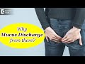 OOPS Mucus Discharge From Down There Causes Treatment Dr Rajasekhar M R Doctors Circle