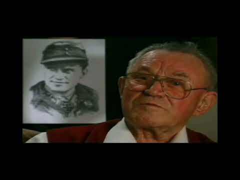 Gunter Rall & Walter "Graf" Krupinski - Bf 109, Fw 190, and Me 262 Pilots | Janes WWII Fighters 1998