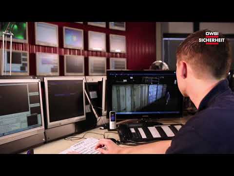 DWSI - Stellenangebote