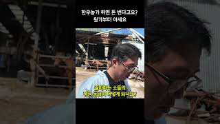 한우 800마리 키우면 얼마 벌까?