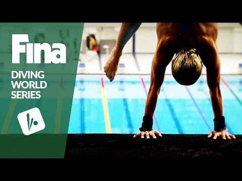 FINA/NVC Diving World Series 2017 | Trailer