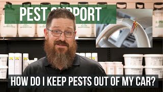 How to Keep Pests Out of Your Car | Pest Support