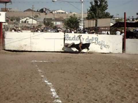 Jineteo de toro #1 (16 Oct. 2011)