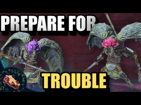 Double Trouble in The Challenge Run