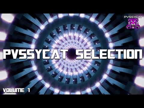 The PvssyCat Selection 001 - Tech House / Techno Mix 2020