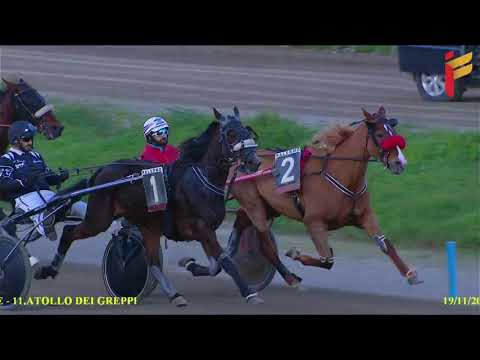 VII Corsa del 19 novembre 2021 - 5 e 6 Anni - Metri 2000/2020 Gentlemen