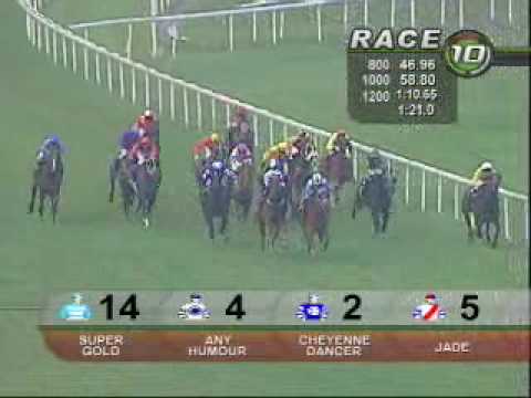 RAFFLES CUP 18/10/09 - CHEYENNE DANCER