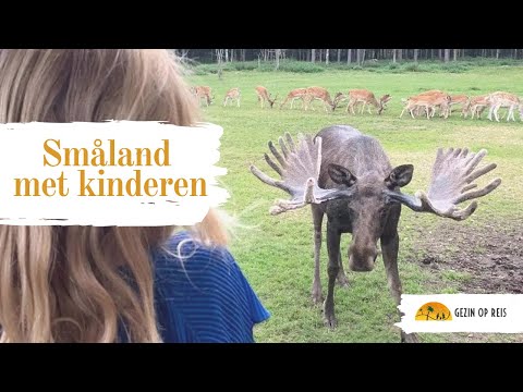 Småland met kinderen, rondreis door Zuid-Zweden