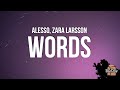 Alesso Words Lyrics Ft Zara Larsson