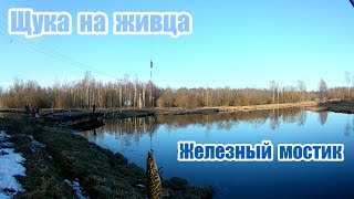 Ссылка