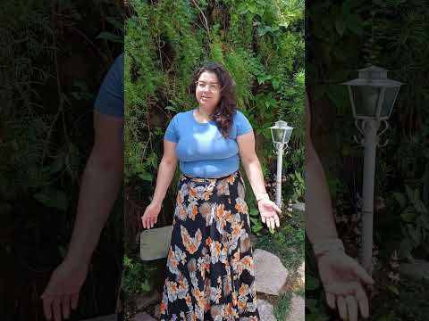 Depoimento em vídeo — Ludiana