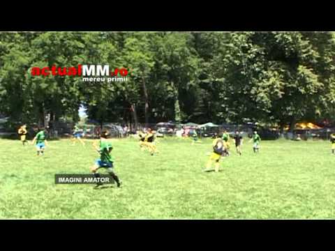 stejarul fersig vectrix satulung