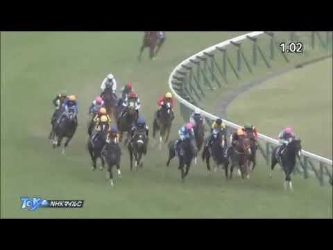 NHKマイルカップ2021