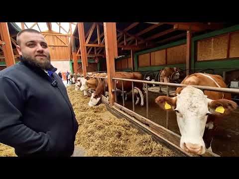 Farma muznih krava i moderni način proizvodnje mlijeka