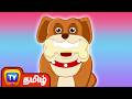 எலும்பை விரும்பும் நாய் குட்டி Dog And Bone Ch