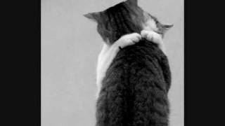 Mike Ruekberg - Dying art (Dummy)