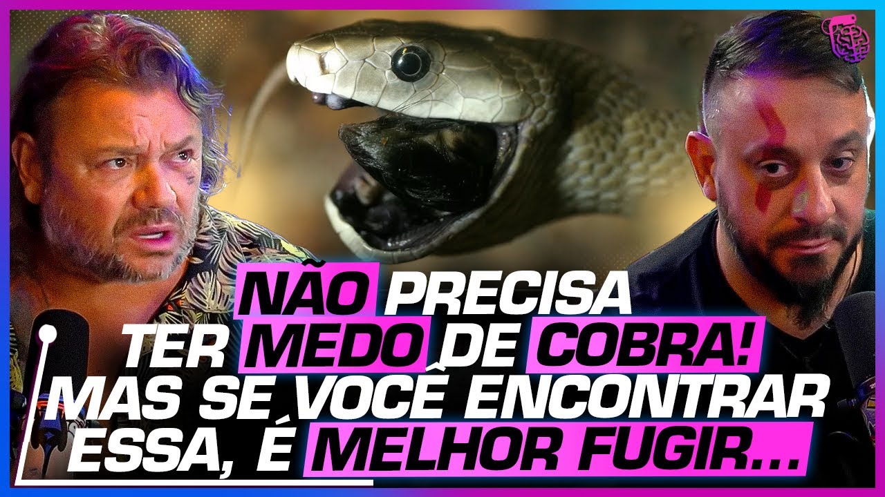 A COBRA MAIS PERIGOSA do MUNDO e o PERIGO da sua PEÇONHA -  RICHARD RASMUSSEN e BIÓLOGO HENRIQUE