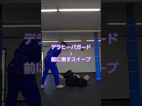 #デラヒーバガード #スイープ#ブラジリアン柔術 #jiujitsu #bjj #格闘技 #北海道 #北見市 #グラップリング