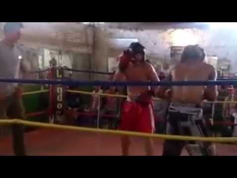 pelea de timo y el canelo