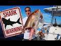 JAWS VS Fisherman Jaws Crazier Then Ever