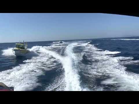 Die neuen Einsatzboote aus der Axopar-Reihe wurden in Pula und auf der Insel Rab stationiert