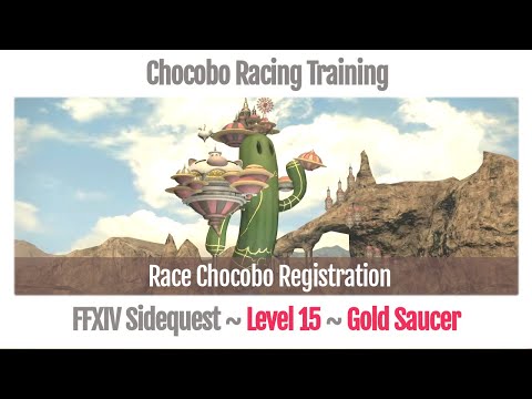 FFXIV Race Chocobo Registration - Chocobo Racing Training - A Realm Reborn