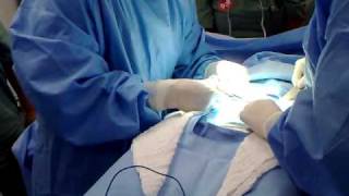 c section part 3 instruments setup class