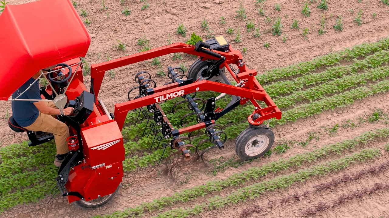 See What An Electric Tractor Can Do | Tilmor Super E In Action