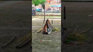 Download lagu JATHILAN KUDHO BUDOYO TERBARU #shorts #jathilan #jathilanputri #jarankepang mp3